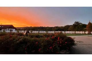 Immobilie kaufen in 74862 Binau, EXKLUSIVE REITANLAGE IM NECKAR-ODENWALD-KREIS - Objekt Nr. 385-25