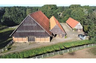 Immobilie kaufen in 49828 Neuenhaus, Großzügige Reitanlage