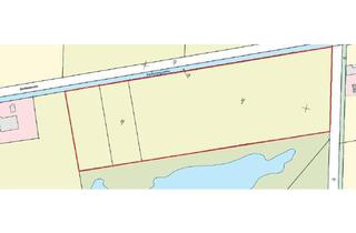 Immobilie kaufen in 26607 Aurich, Ca. 30.794 m² Grünland in Aurich - Spekendorf zu verkaufen!