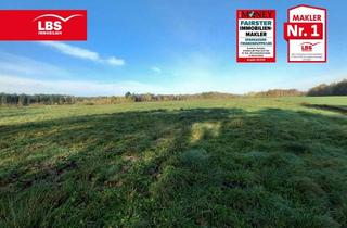 Gewerbeimmobilie kaufen in 27442 Gnarrenburg, Grünland- und Mischwaldflächen zu verkaufen