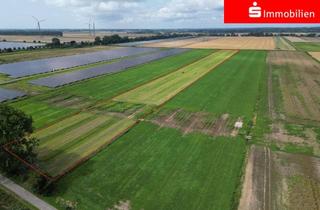 Gewerbeimmobilie kaufen in 25361 Krempe, 3,47 ha Ackerland in der Krempermarsch