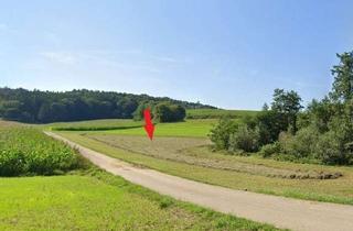 Gewerbeimmobilie kaufen in 86676 Ehekirchen, Wiesengrundstück bei Ehekirchen - Nähe Weidorfer Weiher