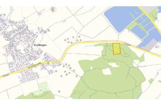 Gewerbeimmobilie kaufen in 89407 Dillingen, Attraktiver Mischwald bei Kicklingen