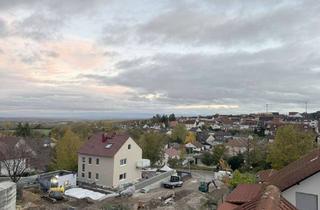 Wohnung mieten in 55270 Zornheim, Schöne 3-Zimmer-Split-Level-Wohnung mit traumhaftem Ausblick!