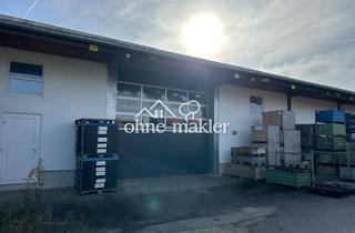 Gewerbeimmobilie mieten in 94447 Plattling, Lagerhalle in Plattling Kaltlager 480 qm