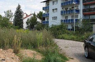 Wohnung mieten in 68519 Viernheim, Sonnendurchflutete Wohnung - schauen Sie mal rein!