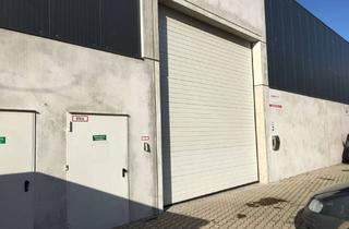 Gewerbeimmobilie mieten in Haller Str., 33106 Paderborn, Neuwertige Lagerhalle in Paderborn - TOP Verkehrsanbindung