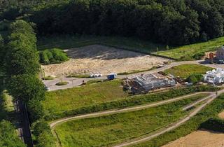 Grundstück zu kaufen in 29646 Bispingen, Grundstück Nr. 41 für 2-geschossige Stadtvilla im Baugebiet „Soltauer Straße“ Bispingen