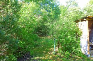 Grundstück zu kaufen in 16515 Oranienburg, Großes Baugrundstück in 2. Reihe in Süd-West-Richtung mit bester Infrastruktur nahe dem Zentrum