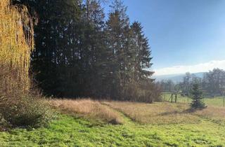 Grundstück zu kaufen in 61267 Neu-Anspach, NATUR PUR: Einzigartiges Grundstück in bester Lage von Neu-Anspach