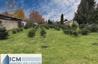 Grundstück zu kaufen in 04565 Regis-Breitingen, Exklusives Grundstück mit viel Fläche in Regis-Breitingen