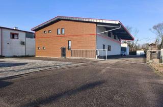 Büro zu mieten in 76356 Weingarten, Nachhaltig & Modern:Erstbezug nach Sanierung - Bürofläche im KfW 40 Standard in Weingarten