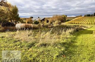 Grundstück zu kaufen in 74211 Leingarten, Leingarten / Großgartach - Freizeitidylle pur - Ruhe, Sonne und Natur in den Weinbergen von Leingarten