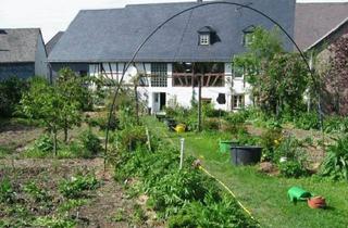 Bauernhaus kaufen in 54483 Kleinich, Kleinich - Großer Bauernhof