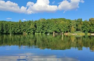 Haus kaufen in 06618 Naumburg, Naumburg (Saale) - Traumhaftes Anwesen mit Badesee, Pferdestall, Koppel, Koibecken..