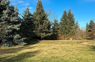 Einfamilienhaus kaufen in 04860 Torgau, Torgau - Einfamilienhaus mit großem Grundstück in Süptitz