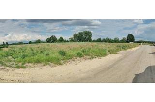 Haus kaufen in 27305 Bruchhausen-Vilsen, Bruchhausen-Vilsen - Grundstück mit Feldblick in Bruchhausen-Vilsen im Neubaugebiet