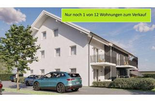 Wohnung kaufen in 94569 Stephansposching, OH-140-25 (5) 2 Zimmer - Neubauwohnung in Stephansposching
