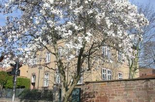 Wohnung mieten in 77933 Lahr, Renovierte Altbau-Wohnung, 2,5 Zimmer