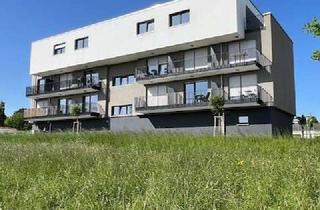 Wohnung mieten in Öhringer Straße 1/2, 74635 Kupferzell, Apartment mit Vollausstattung