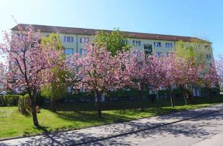 Wohnung mieten in Am Hohen Hain 25d, 09212 Limbach-Oberfrohna, Dachgeschosswohnung zum Wohlfühlen