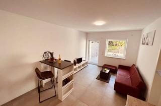 Wohnung mieten in Hauptstr. 19/2, 74081 Sontheim, Ab 01.12. kompakte Voll-möblierte 2-Raum-Wohnung +Garten+Parkplatz+ EBK in Heilbronn inkl. WIFI