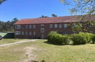 Wohnung mieten in Waldsiedlung 20, 19339 Plattenburg, Schön wohnen - 1 ZKB