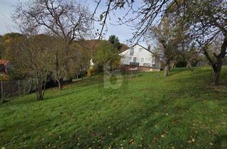 Grundstück zu kaufen in 69483 Wald-Michelbach, GROß UND GÜNSTIG