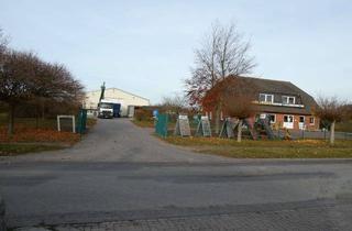 Gewerbeimmobilie kaufen in Mühlenblick, 17348 Woldegk, Bürohaus mit Lagerhalle und Freifläche