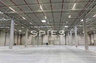 Gewerbeimmobilie mieten in 49377 Vechta, Energieeffiziente KfW-55-Halle in Vechta zur Miete