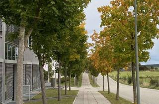 Büro zu mieten in 82234 Weßling, Gewerbegebiet Weßling: Ca. 1000 m² moderne Büro-, Produktions- und Lagerflächen