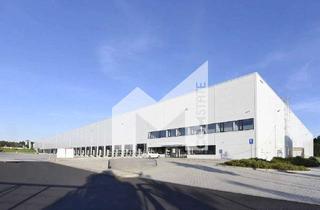 Gewerbeimmobilie mieten in 45549 Sprockhövel, PROVISIONSFREI | NEUBAU | LOGISTIK | RAMPEN | EBENERDIG | SPRINKLER | DGNB-GOLD | COMSTATE