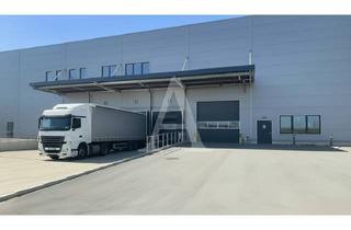 Gewerbeimmobilie mieten in 41541 Dormagen, LOGISTIKNEUBAU IN DORMAGEN | MIETE | BIS 10,50 M UKB | RAMPE & EBENERDIG | ANGERMANN NRW