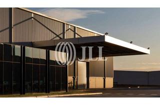 Gewerbeimmobilie mieten in 64319 Pfungstadt, Provisionsfreie Top moderne Gewerbeeinheit im Neubau 750 m²