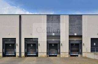 Gewerbeimmobilie mieten in 50170 Kerpen, Logistikhalle in Kerpen-Sindorf | 7 Rampen | Sprinkler | 8,00 m UKB | A4/A61 | Provisionsfrei