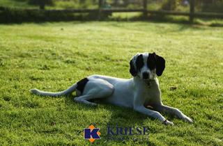 Grundstück zu kaufen in 82110 Germering, Exklusives Baugrundstück mit Altbestand in Germerings bester Lage