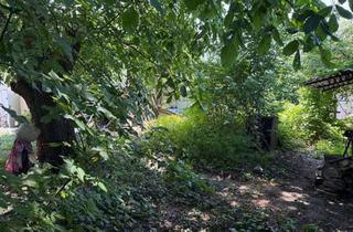 Grundstück zu kaufen in 16321 Bernau, DEUTSCHMANN IMMOBILIEN ***** ivd - Vollständig beräumter und ruhiger Baugrund in Bernau OT Schönow!