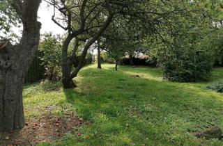 Grundstück zu kaufen in 18225 Kühlungsborn, Idyllisches Baugrundstück in Kühlungsborn – Exklusiver vorderer Grundstücksbereich