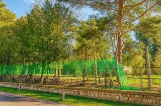 Grundstück zu kaufen in Potsdamer Str., 15566 Schöneiche, Großzügiges Grundstück in TOP Lage