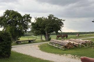 Immobilie mieten in 85410 Haag, Wohnen auf Zeit! Schickes, modernes Appartement in idyllischer Lage - voll möbliert