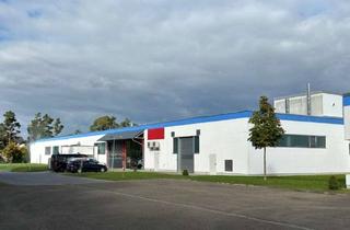 Lager mieten in 93326 Abensberg, Ausstellungs-/Lagerfläche