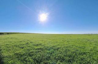 Gewerbeimmobilie kaufen in 83569 Vogtareuth, 4 Hektar Grünland im Landkreis Rosenheim nähe Vogtareuth