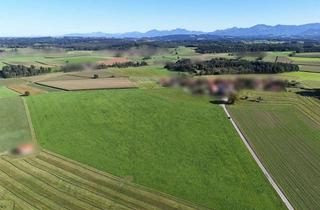 Gewerbeimmobilie kaufen in 83139 Söchtenau, 4 Hektar Grünland im Landkreis Rosenheim nähe Vogtareuth, Landwirtschaft, Nutzfläche