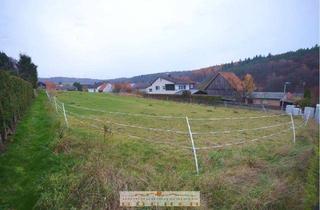 Grundstück zu kaufen in 36323 Grebenau, Schnäppchen: Sonniges Grundstück in Grebenau zu verkaufen