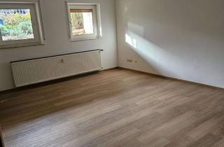 Wohnung mieten in Wiesenstr., 61352 Bad Homburg, Helle 1-Zimmer Wohnung im Souterrain in Bad Homburg