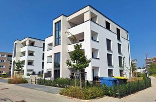 Wohnung mieten in 63741 Nilkheim, Moderne 3-Zimmerwohnung mit Terrasse und Nähe zum Park "Schönbusch"