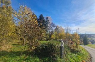 Haus kaufen in 94518 Spiegelau, Traumhaftes kleines "Sacherl" für Naturliebhaber im Bayerischen Wald.Wohnen fast wie in Alleinlage