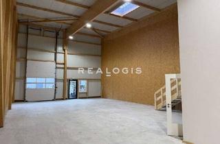Büro zu mieten in 25451 Quickborn, ca. 195 m² große Neubau Hallenfläche mit Büro