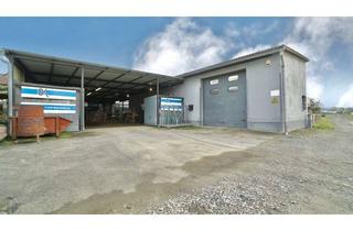 Gewerbeimmobilie kaufen in 35649 Bischoffen, Flexible Gewerbehalle in Bischoffen OT