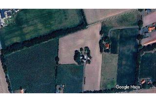 Grundstück zu kaufen in 33129 Delbrück, Ackerfläche in Delbrück-Schöning!